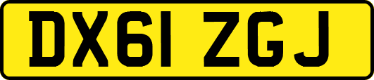 DX61ZGJ
