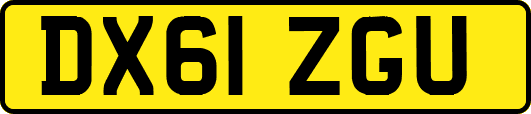 DX61ZGU
