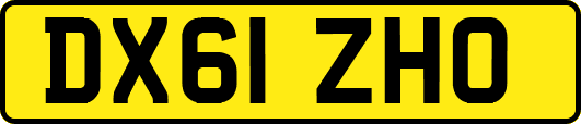 DX61ZHO