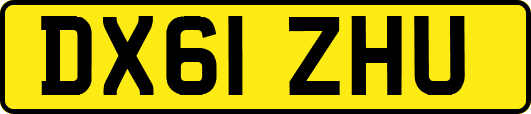 DX61ZHU