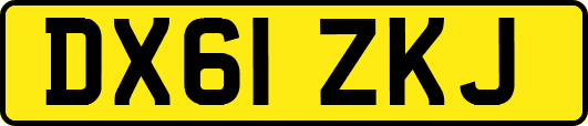 DX61ZKJ