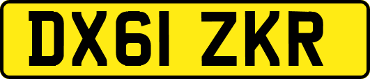 DX61ZKR
