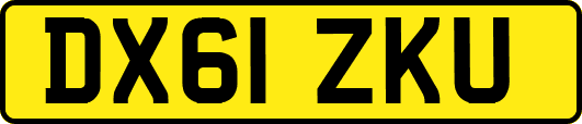 DX61ZKU
