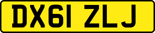 DX61ZLJ