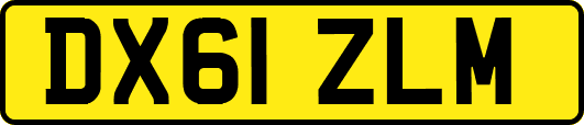 DX61ZLM