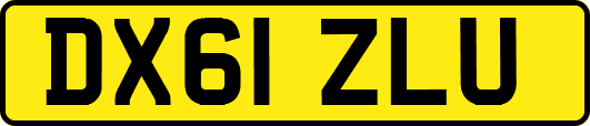 DX61ZLU
