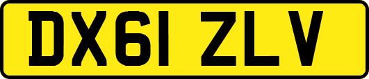DX61ZLV