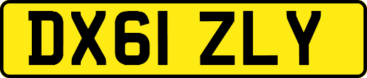 DX61ZLY