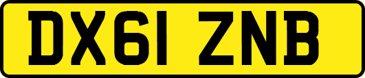 DX61ZNB