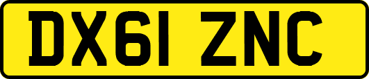 DX61ZNC