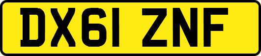 DX61ZNF