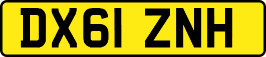 DX61ZNH