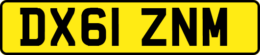 DX61ZNM