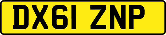 DX61ZNP