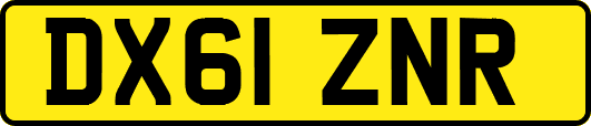 DX61ZNR