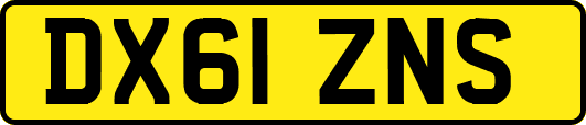 DX61ZNS
