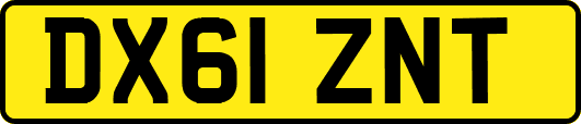 DX61ZNT