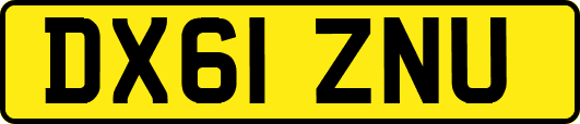 DX61ZNU