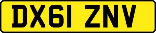 DX61ZNV