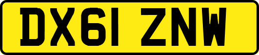 DX61ZNW