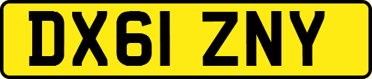 DX61ZNY
