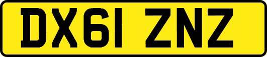 DX61ZNZ