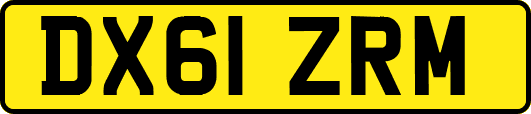 DX61ZRM