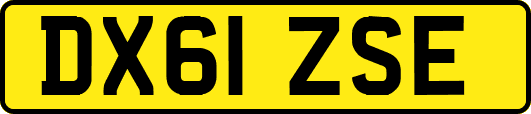 DX61ZSE