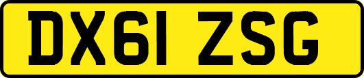 DX61ZSG