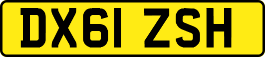 DX61ZSH