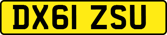 DX61ZSU