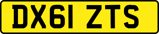 DX61ZTS