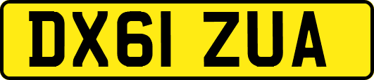 DX61ZUA