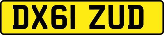 DX61ZUD
