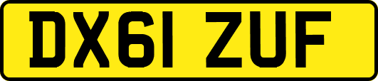 DX61ZUF