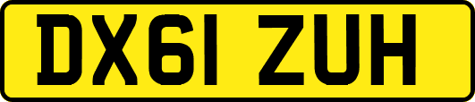 DX61ZUH