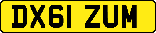 DX61ZUM