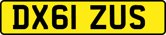 DX61ZUS
