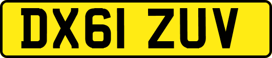 DX61ZUV