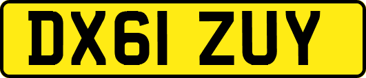 DX61ZUY