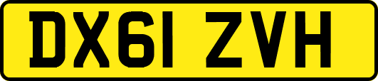 DX61ZVH