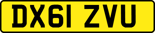 DX61ZVU