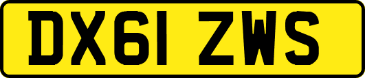 DX61ZWS