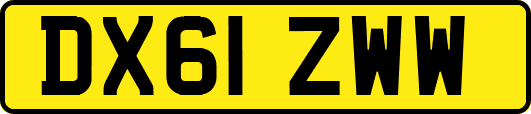 DX61ZWW