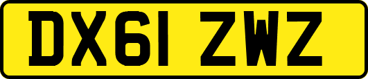 DX61ZWZ
