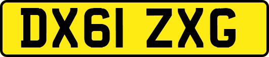 DX61ZXG
