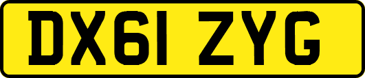 DX61ZYG