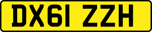 DX61ZZH