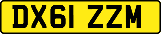 DX61ZZM