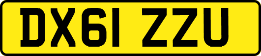 DX61ZZU